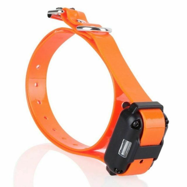 Digital Dog Training Collar Waterproof Rechargeable