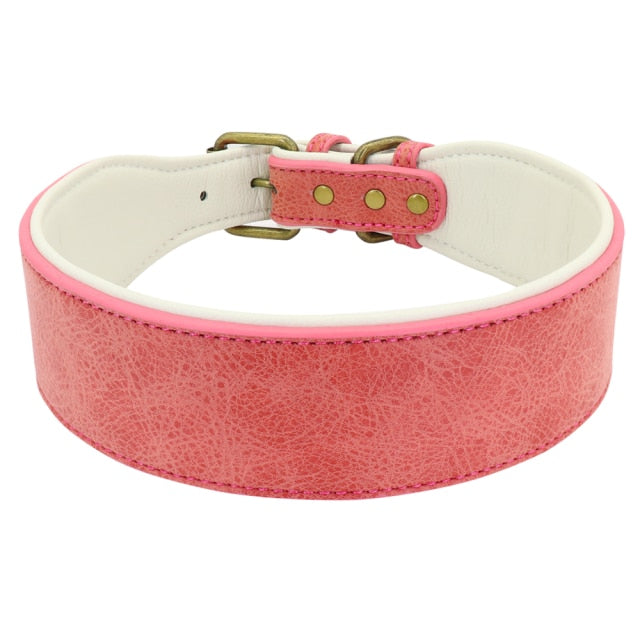 Leather Wide Padded Pet ID Collars