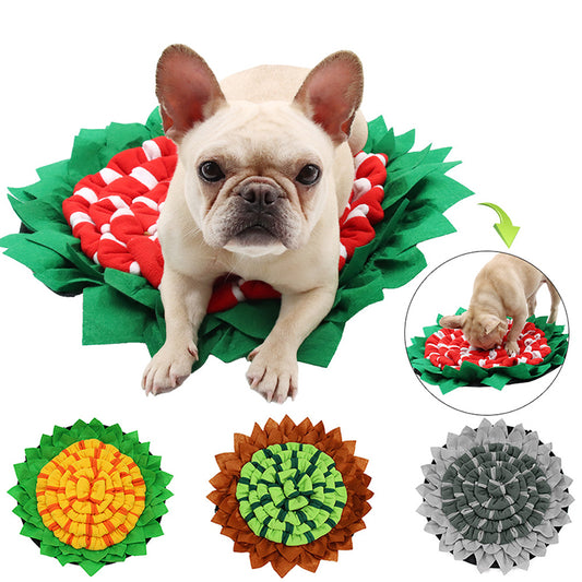 Dog Puzzle Toys Increase IQ Smell Training Mat