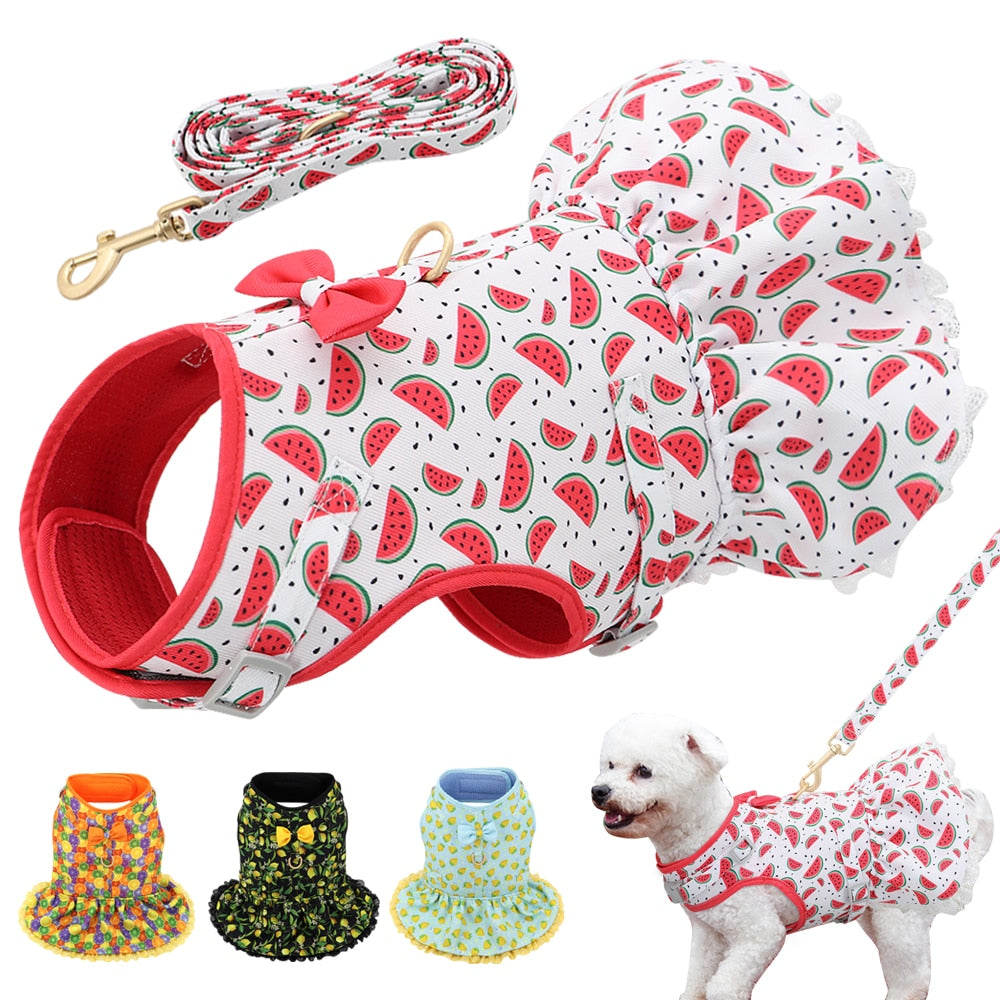 Cute Printed Dog Harness Leash