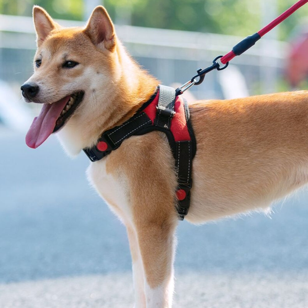 Soft breathable mesh dog vest