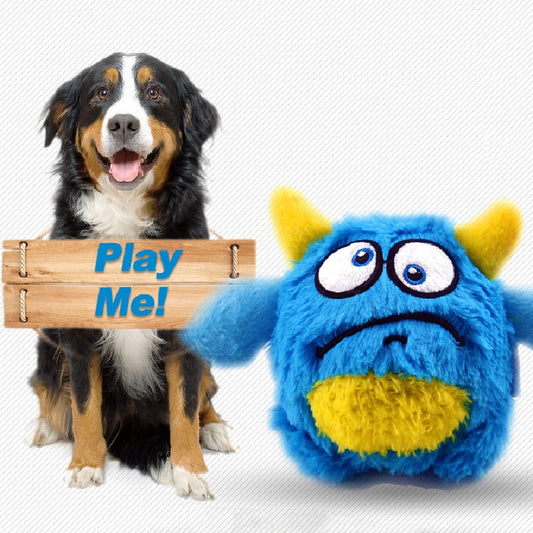 Squeaker Interactive Dog Toy Balls