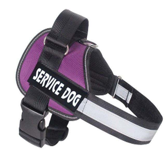 Nylon Personalized Dog Harness Adjustable - Dog Bed Supplies
