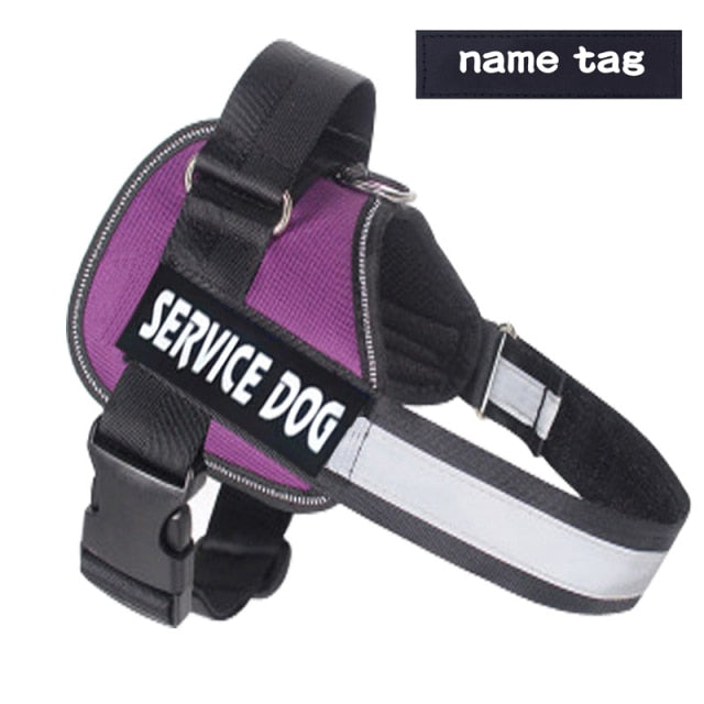 Nylon Personalized Dog Harness Adjustable - Dog Bed Supplies