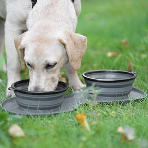 Dog Bowl Slow Feeder Double Mat
