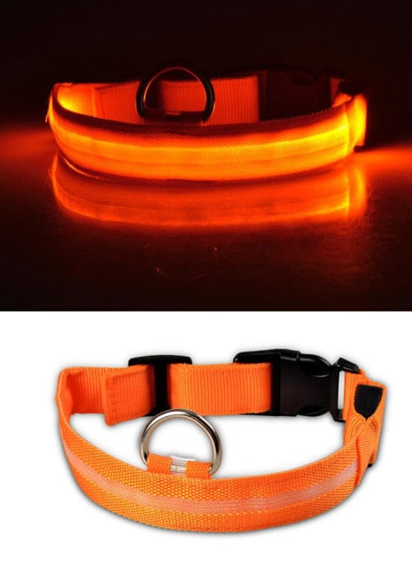 Nylon LED Pet Collar Night Safety Flashing Glow In The Dark