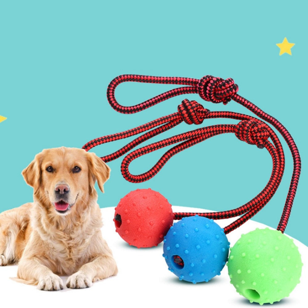 Chew Training Ball Toys Tooth Cleaning Puppy