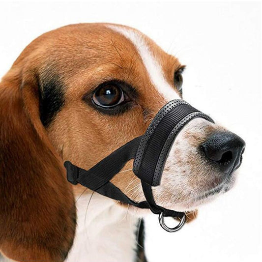Dog Muzzle Prevent Biting Barking Training Leash