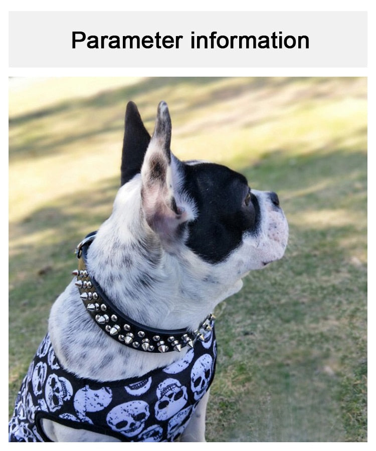 Adjustable Leather Pet Dog collar Strap