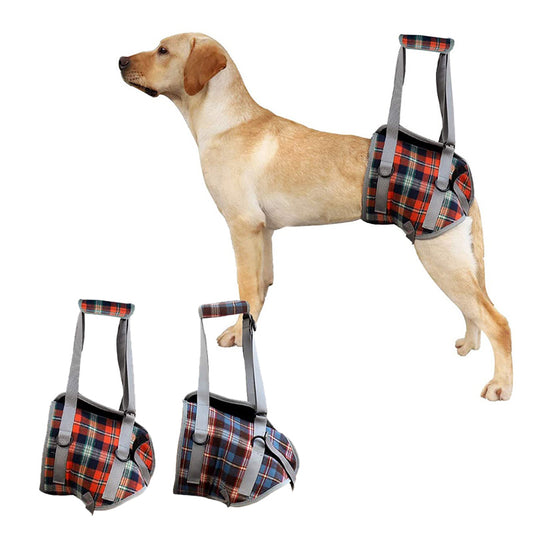 Dog Support Harness for Front and Rear Legs