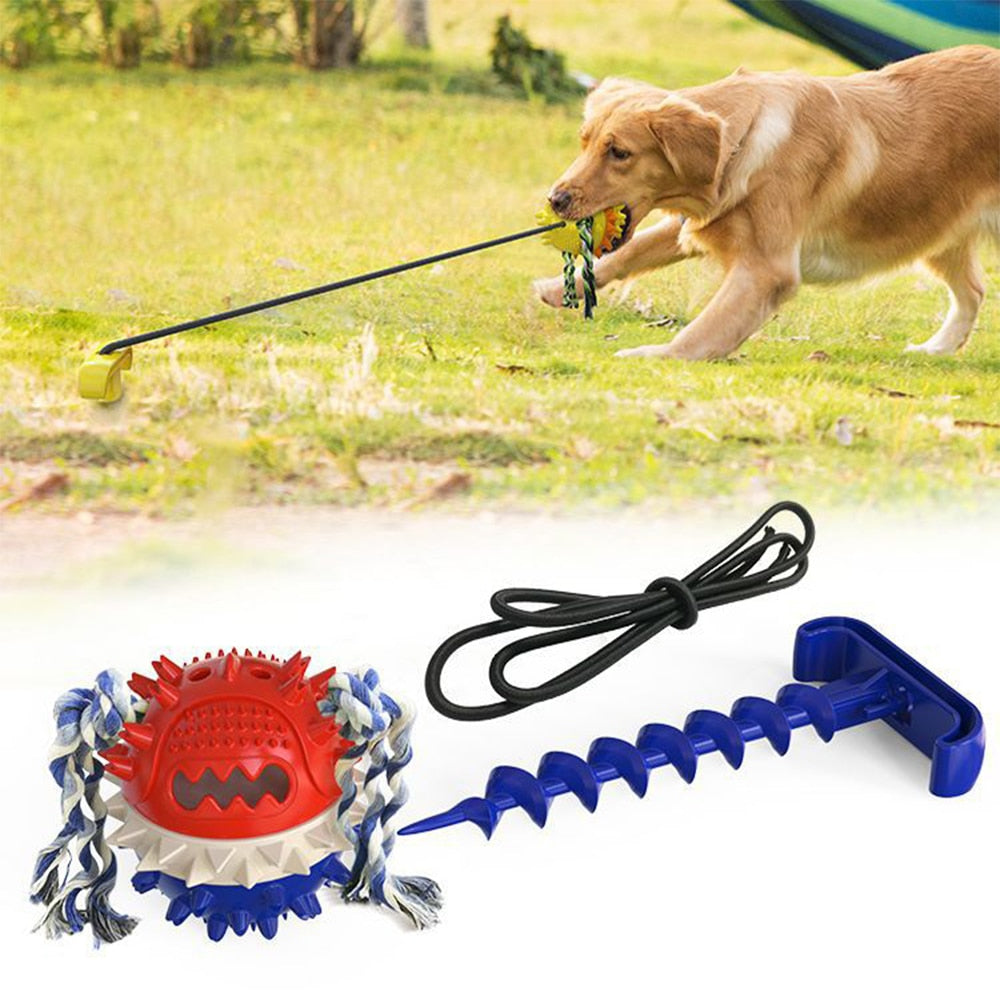Pet Dog Interactive Suction Cup Push Ball Toys Outdoor