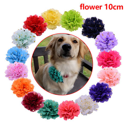 Dog Accessories Big Flower-Collar