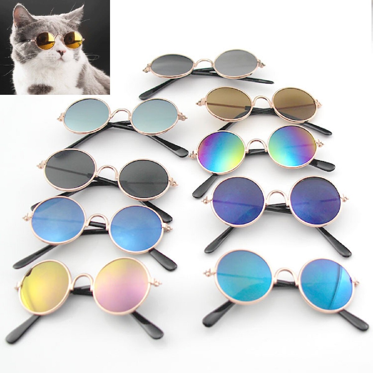 Reflection Eye wear glasses For Small Dog Cat