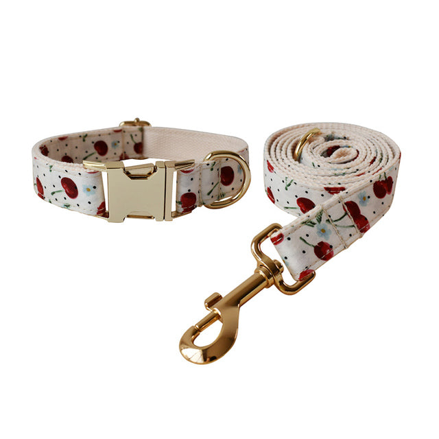Free Engrave Dog Collar Leash Set