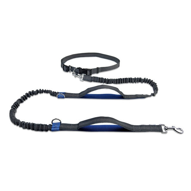 New Reflective Leash Traction Rope For Walking Or Running