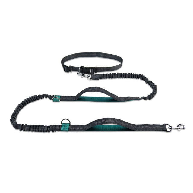 New Reflective Leash Traction Rope For Walking Or Running