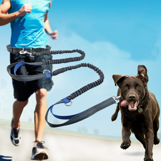Dog Running Comfortable Leashes