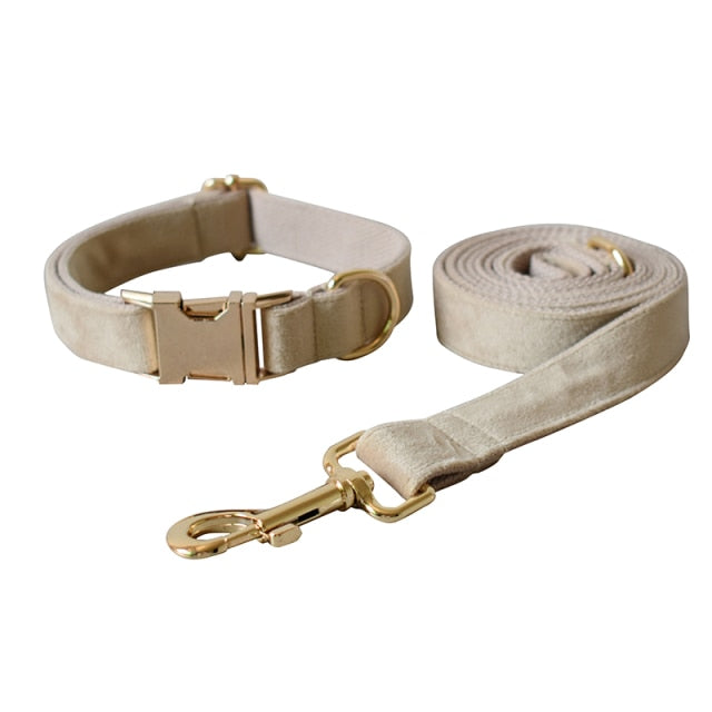 Free Engrave Fabric Dog Collar Leash