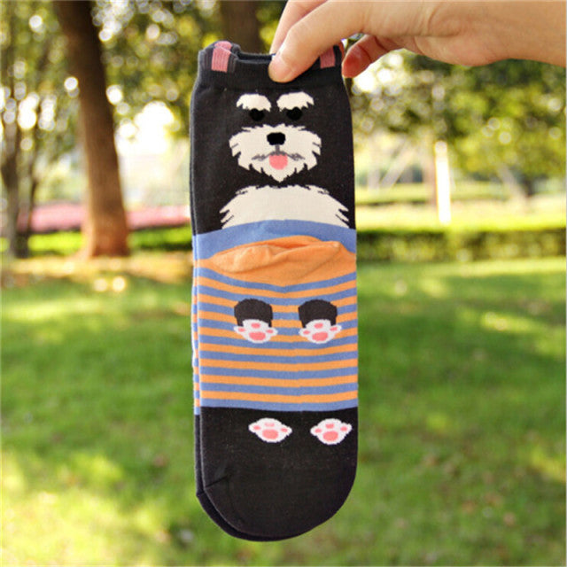 Autumn-Winter Funny Shiba Pug Socks