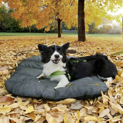 Outdoor Indoor Dog Bed Blanket Camping