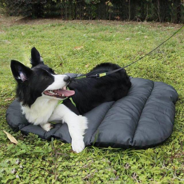 Outdoor Indoor Dog Bed Blanket Camping