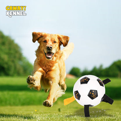 Flexibility Spherical Dogs Toys Nibble Balls