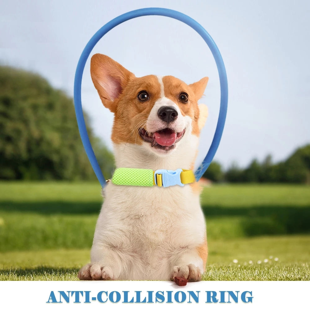 Anti-Collision Collar Dog Safe Halo Harness