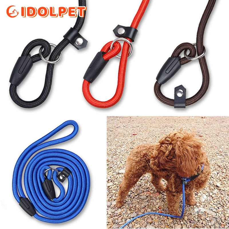 Durable Dog Nylon Slip Rope Leash