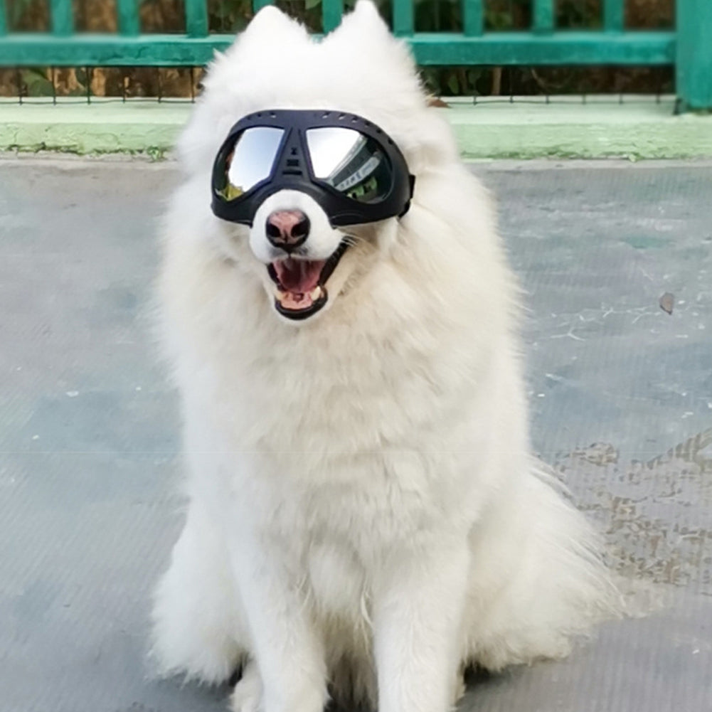 Cool Dog Sun Glasses UV Protection