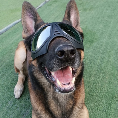 Cool Dog Sun Glasses UV Protection