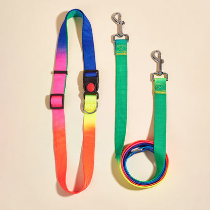 Nylon Leashes Pet Dogs Chain Rope