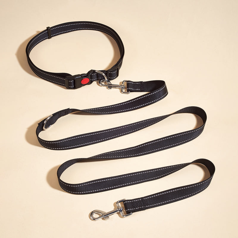 Nylon Leashes Pet Dogs Chain Rope