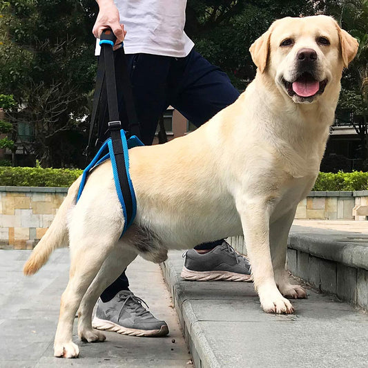 Dog Auxiliary Belt Harness Assist Lift