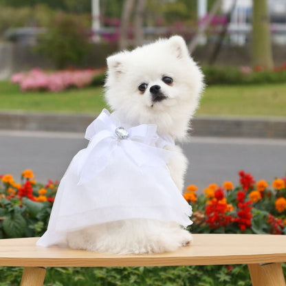 Dress Wedding Dress Dog Coat