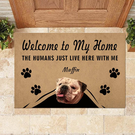 Welcome custom entrancet Dog printed door mat