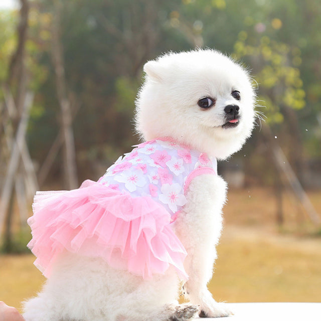 Small Dogs Dresses Sweety Princess Dress
