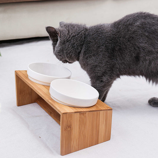 Double Bowl Dog Food Water Feeder