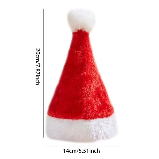 3D Christmas Pet Santa Hat