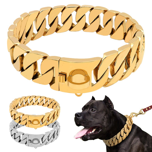 Dog Collar Leash Customized Collar Strap