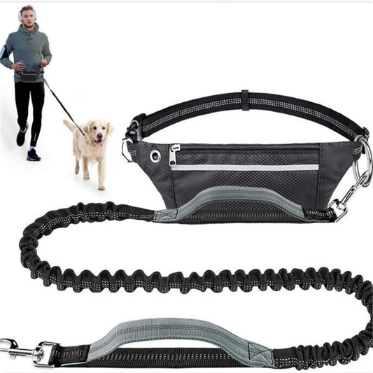 Hands- Free Dog Leash With Waist Bag Reflective