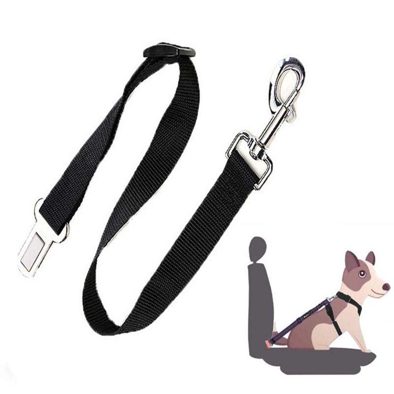 Dog Seat Belt Retractable Dog Leash