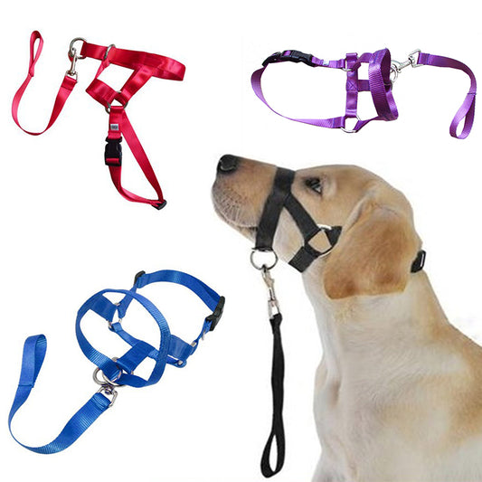 Dog Halter Halti Training Head Collar
