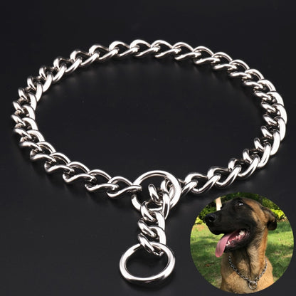 Metal Stainless Chain Dog Collar