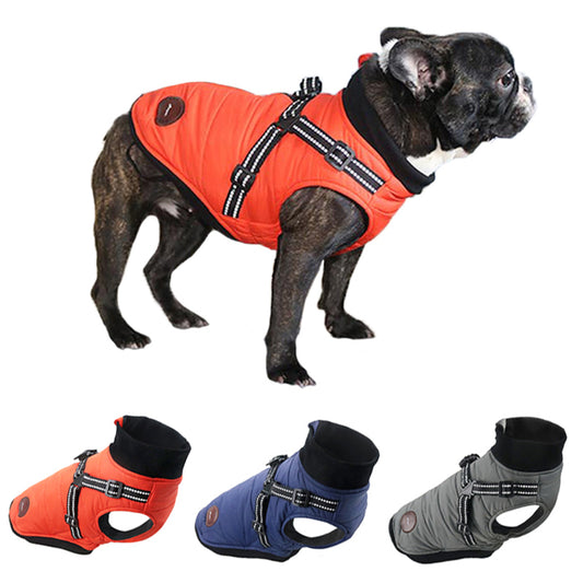 Bulldog Jacket With Harness Warm Clothes