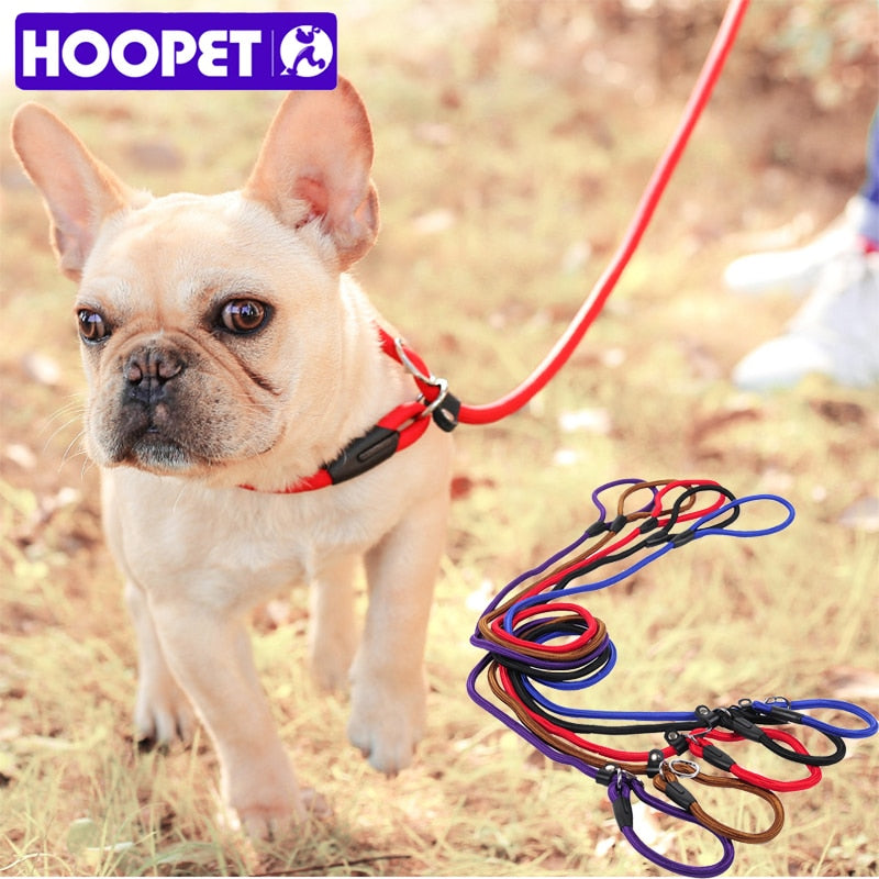 Traction Rope Chain Dog Collar