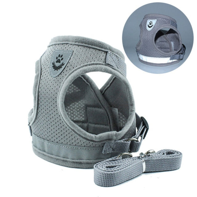 Harness And Leash Vest With Light