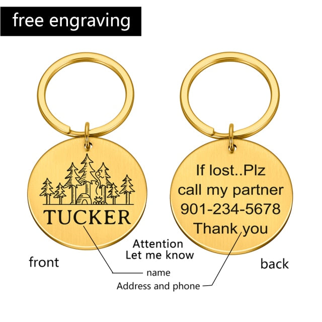 Customized Anti-lost Engraved Pet ID
