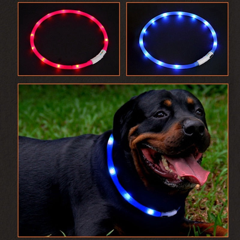 Pet Luminous Collar Flashing Night Collars Keep Your Dogs Seen And Safe