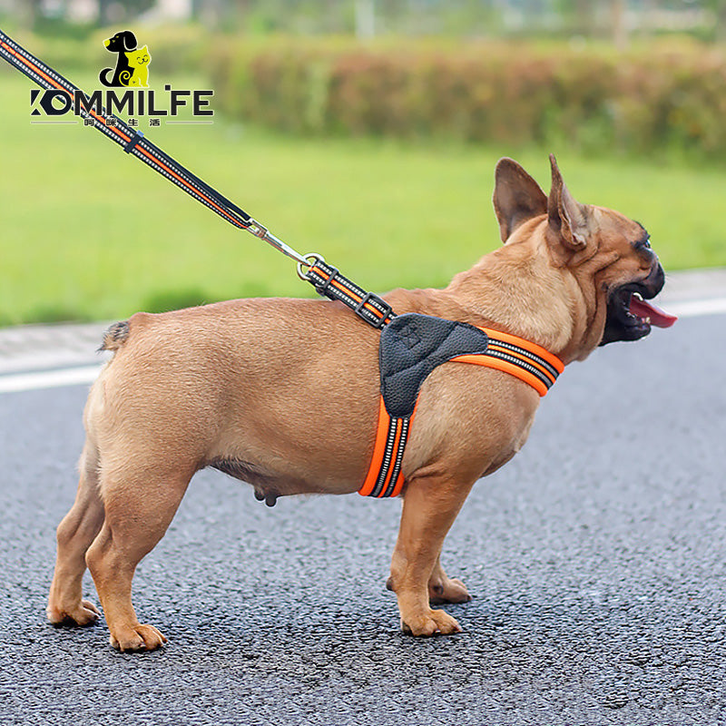 Nylon Breathable Reflective Dog Harness and Leash Set