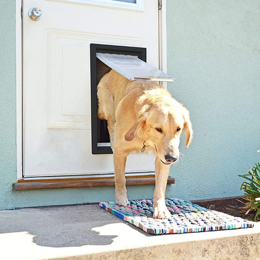 Automatically Close Dog Door Interior Exterior Doors